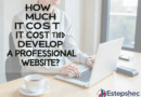 Quanto Custa Desenvolver Um Site Profissional?